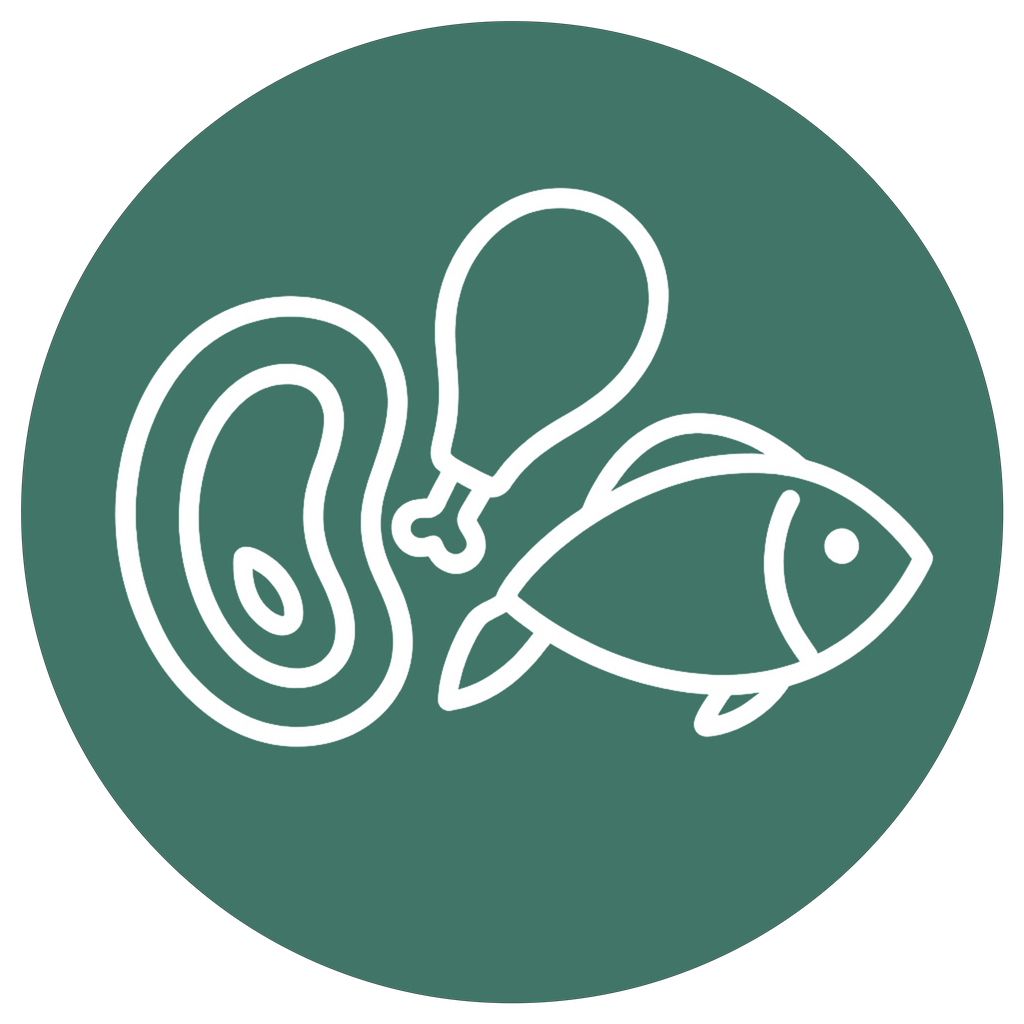 گوشت و پروتئین